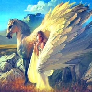 Meet your Posher, Shana'e